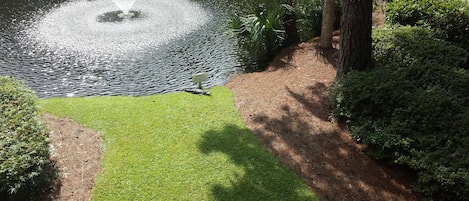 Relaxing view from deck