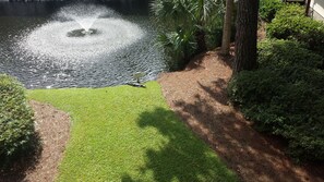 Relaxing view from deck