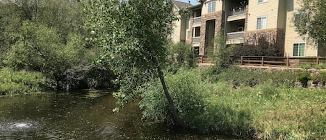 Pond in nature preserve