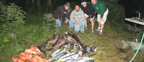 You can catch bunches of fish up here. These are from Seward about 50 min away