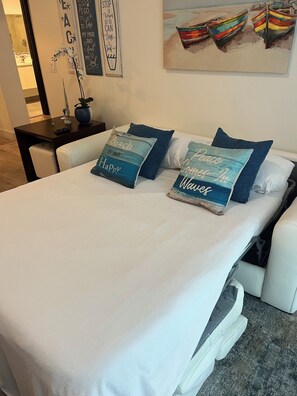 Beautiful and comfortable queen sofa bed