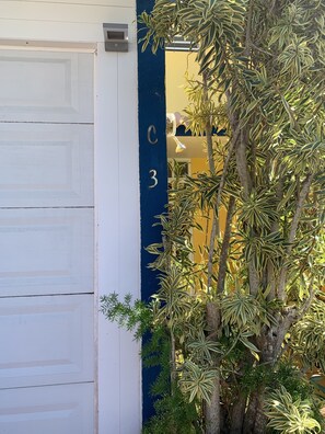 House #