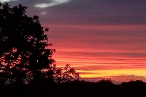 Oklassificerad bild, 5 av 14, knapp