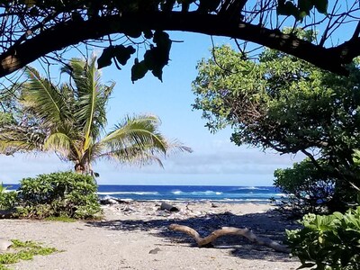 Going Green at the Kuleana Ranch.