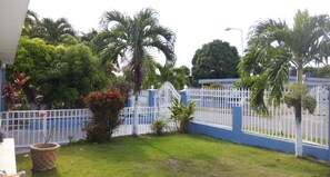 Tropical Garden