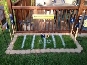 ND Stadium grass