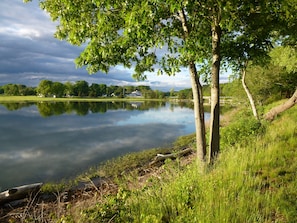 Evening on the river