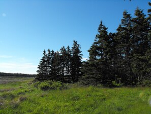 Boendeområde