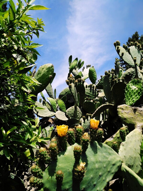 Jardines del alojamiento