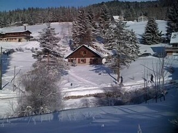 The house in winter