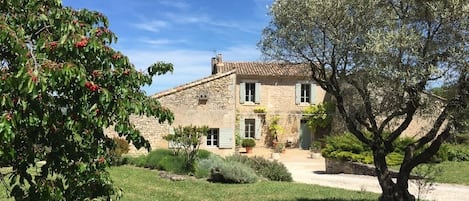 Welcome to Les Mallans, set in the vineyards between Lacoste and Bonnieux