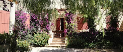 Front garden and terrace