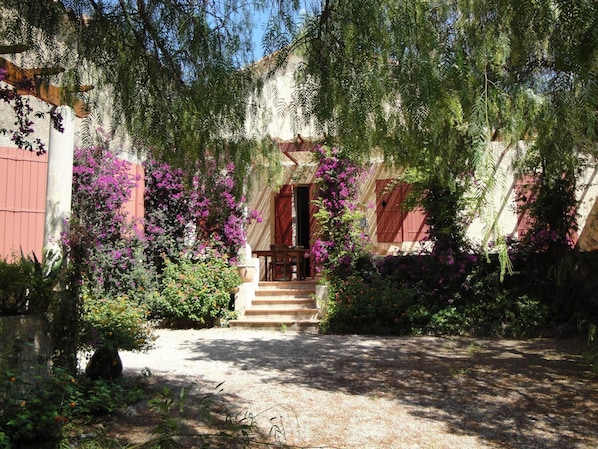 Front garden and terrace