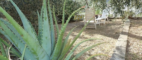 giardino davanti alla casa