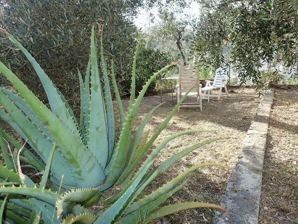 giardino davanti alla casa