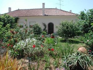Rustic House