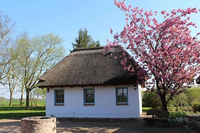 Recreation in the country in the guesthouse Upatel