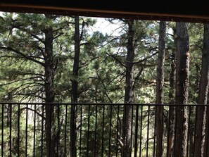 View from the deck, you are secluded here