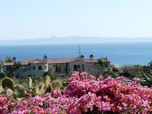 Breathtaking Ocean Catalina Sealife & Sunsets from all rooms