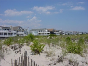 view from the beach