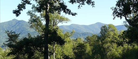 View from Deck -righthand peak is Brasstown Bald