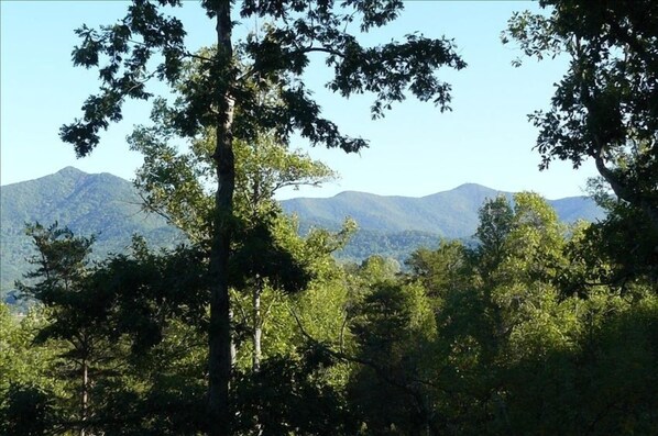 View from Deck -righthand peak is Brasstown Bald