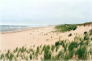 Miles of uncrowded, 'singing sands' beach below Sea Seekers cottage.