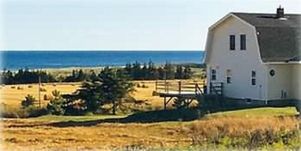 Country cottage with ocean view.