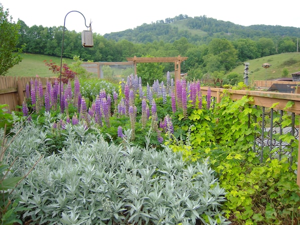 Stroll the gardens at the farm
