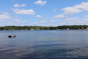 Järvi