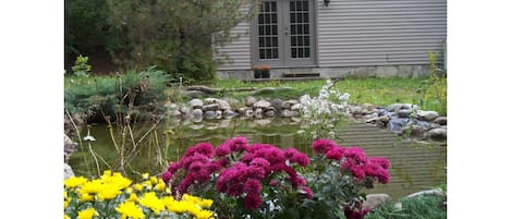 Outside yard view with pond 