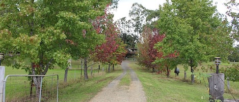 Parco della struttura