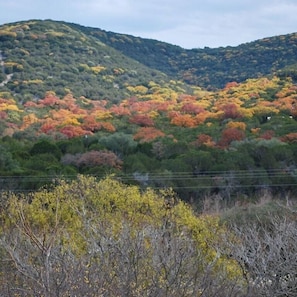 The view from the deck in the fall is breathtaking! Look at those colors!