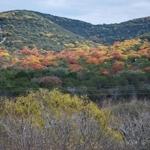 The view from the deck in the fall is breathtaking! Look at those colors!