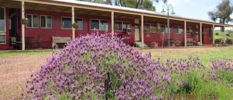 1930s Vintage Train