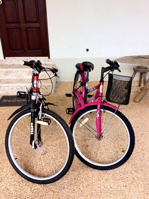 Bicyclus for use