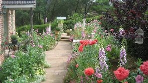 gorgeous poppy's late spring