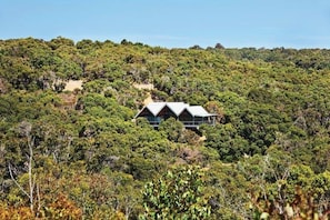 The Tree House, Eagle Bay