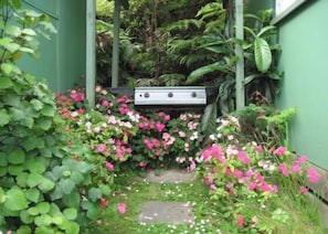 BBQ area next to cottage