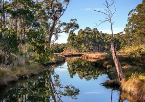 Saintys Creek Cottage