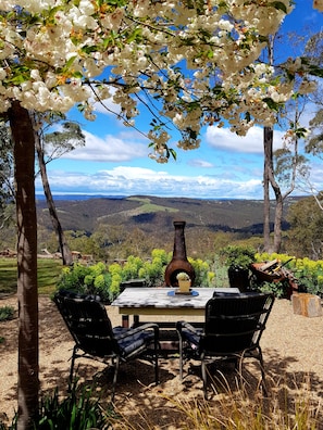 outdoor fire and blue mountains view