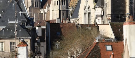 Best view across Dijon to Cathédrale Saint-Bénigne. Cool breeze in summer.