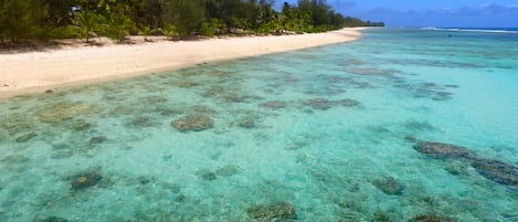 Spiaggia