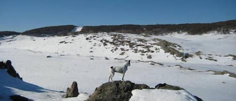 Esportes de neve e esqui