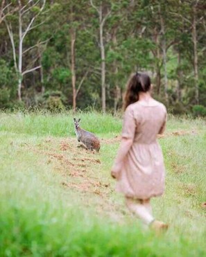 Nest 1 · Secluded, Romantic Escape @ Bluegums