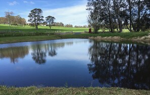 Looking out over the dam to the property entrance