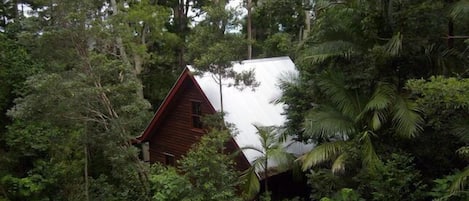 Rose Gum Cottage nestled in the forest