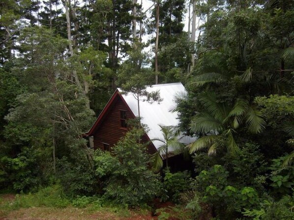 Rose Gum Cottage nestled in the forest