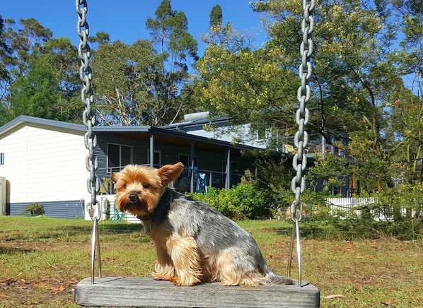 one of our lovely guests enjoying the swing at Finchley B and B