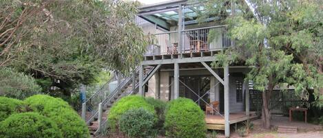 Rear garden view to the tree house